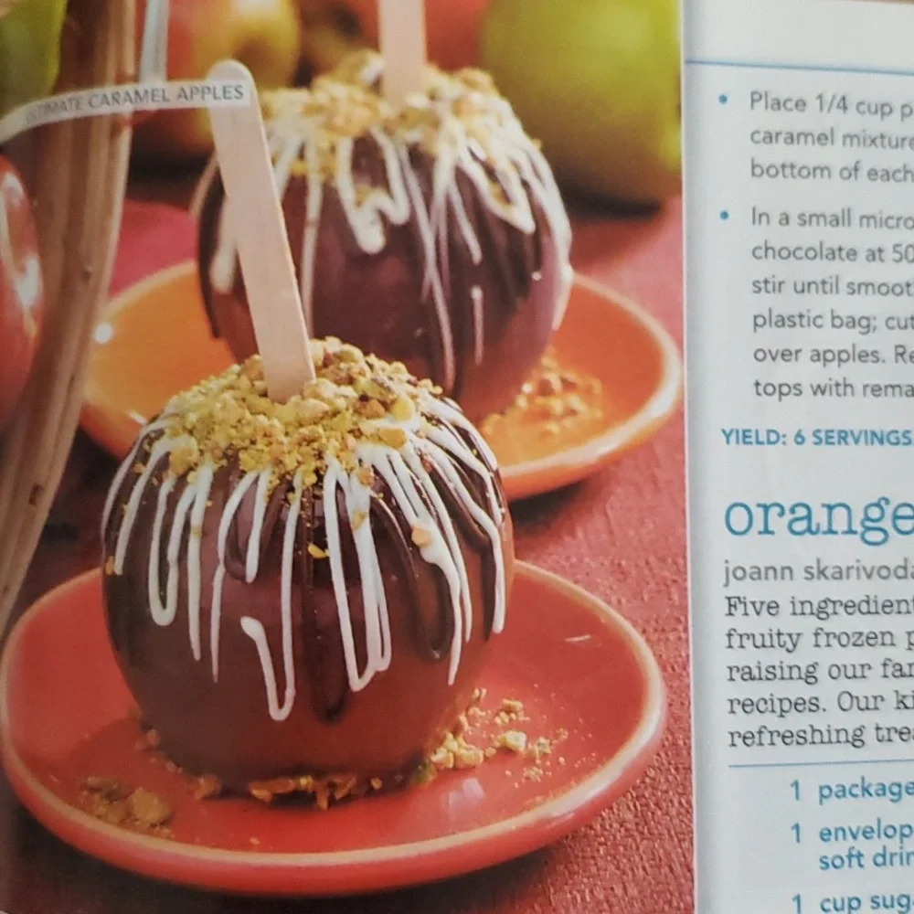 Fun Foods 2008 Cookbook